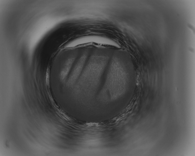X0000091170052200709060942