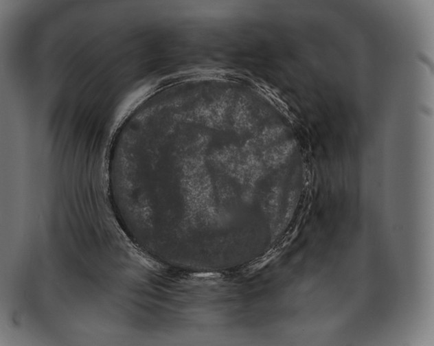 X0000091170053200709060942