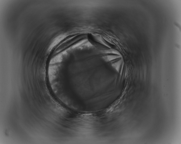 X0000091170054200709060942