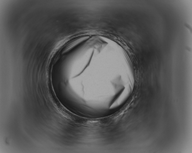 X0000091170055200709060942
