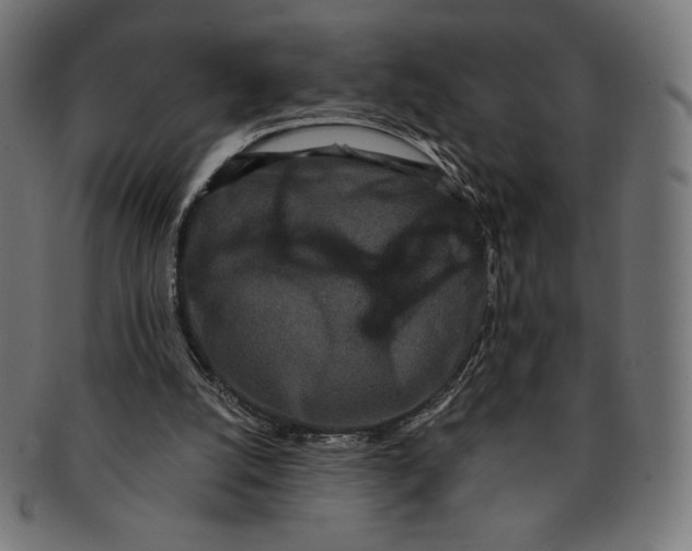 X0000091170056200709060942