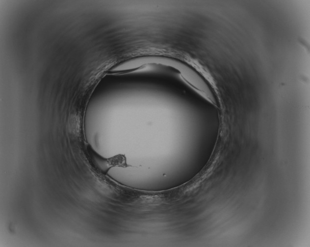 X0000091170057200709060942