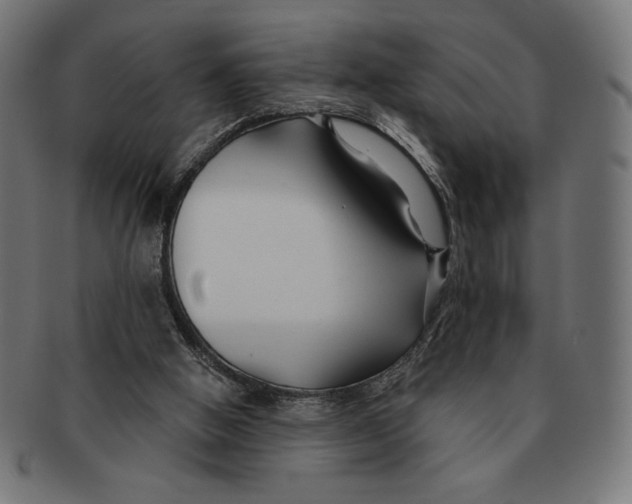 X0000091170058200709060942