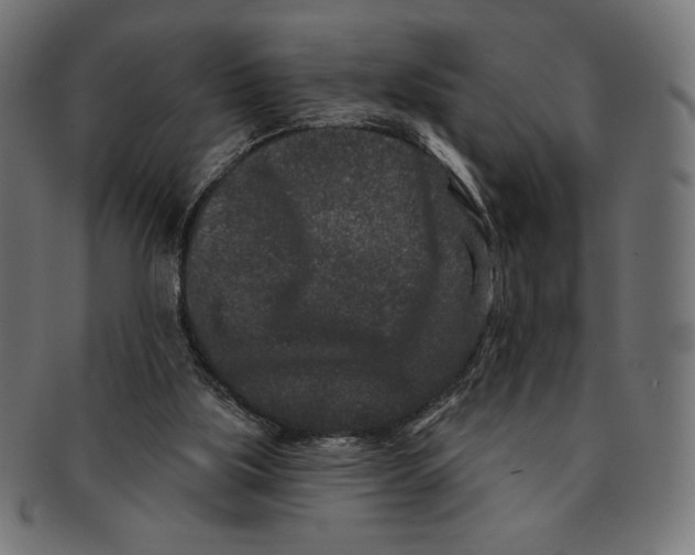 X0000091170059200709060942