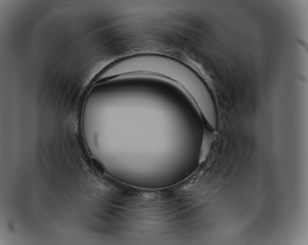 X0000091170060200709060942
