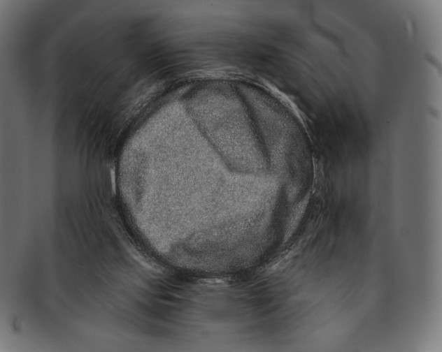 X0000091170061200709060942