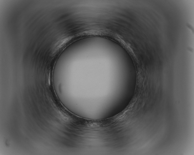 X0000091170062200709060942