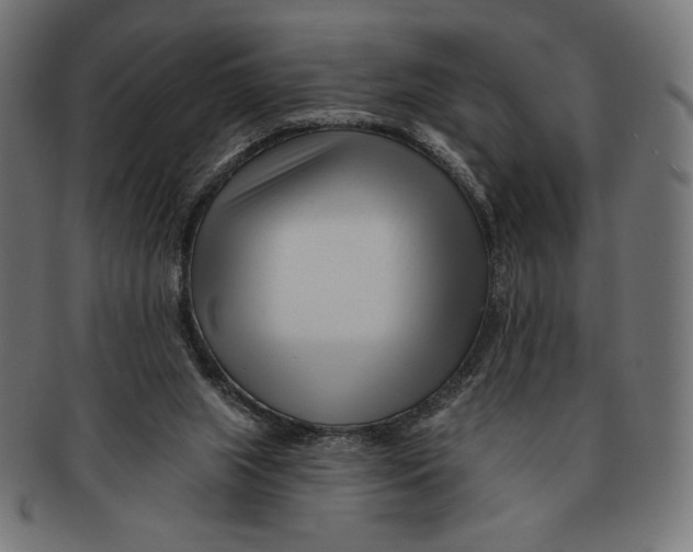 X0000091170063200709060942