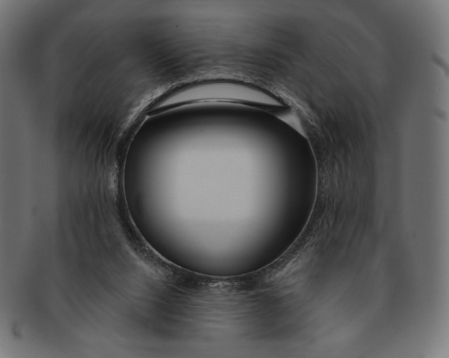 X0000091170064200709060942