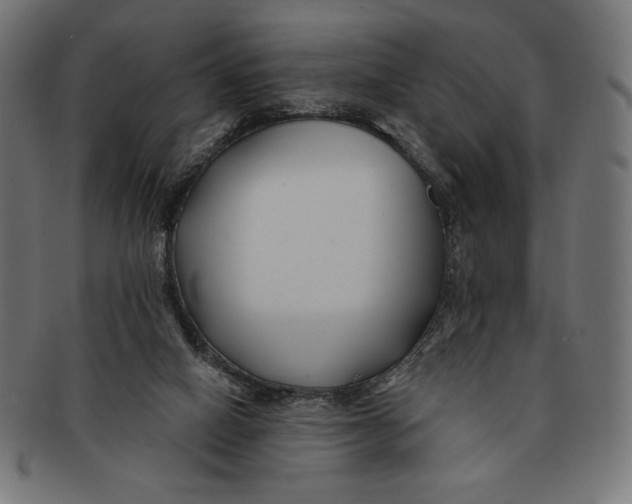 X0000091170066200709060942