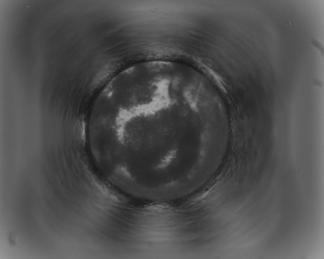 X0000091170067200709060942