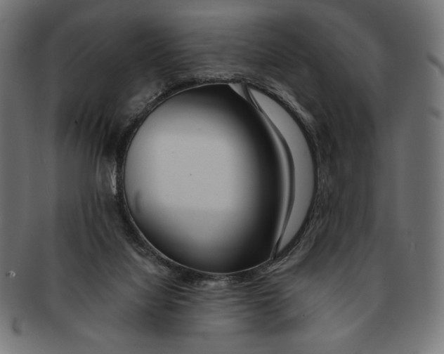 X0000091170068200709060942