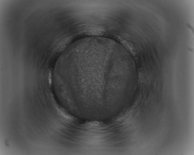 X0000091170069200709060942