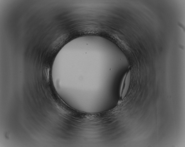 X0000091170070200709060942