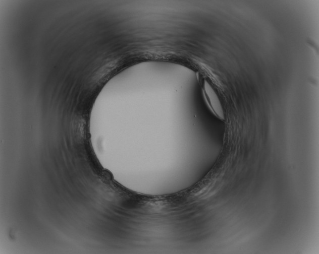 X0000091170071200709060942