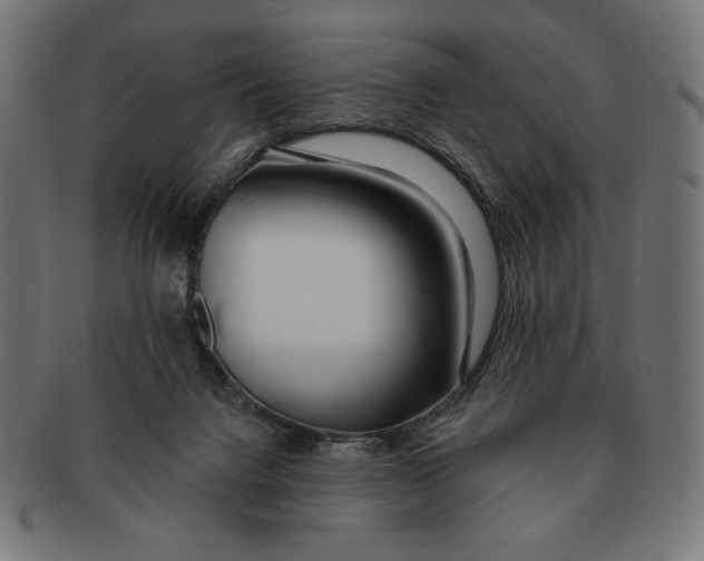 X0000091170072200709060942
