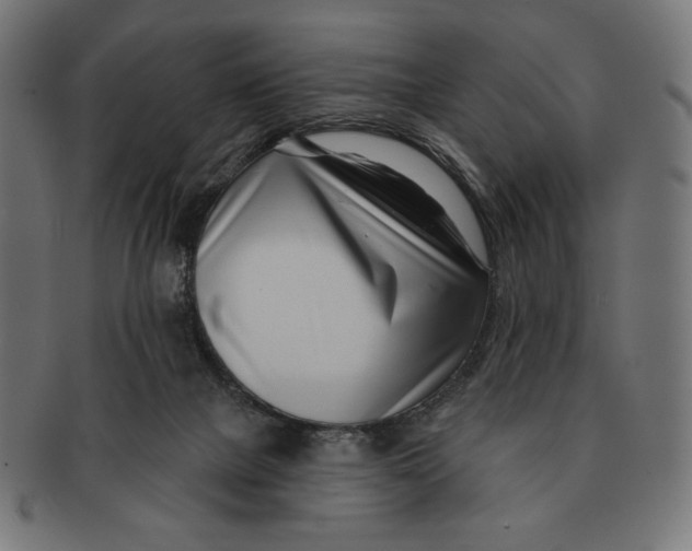 X0000091170073200709060942