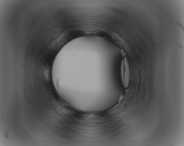 X0000091170074200709060942