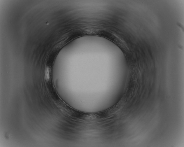 X0000091170075200709060942