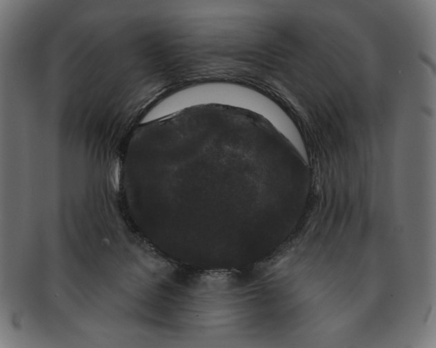 X0000091170076200709060942