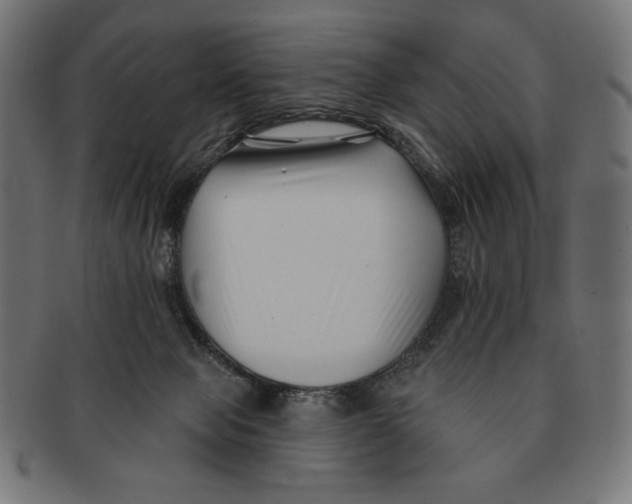 X0000091170077200709060942