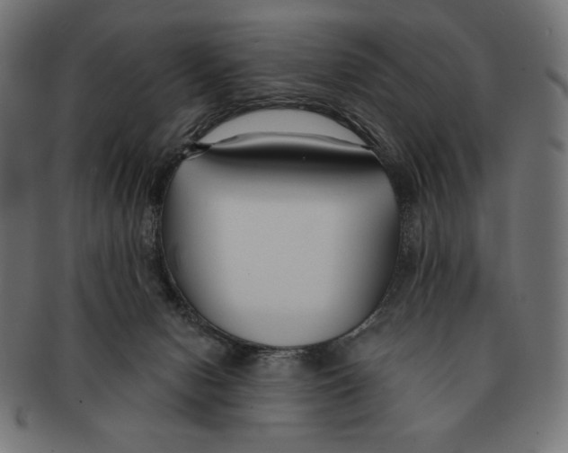 X0000091170078200709060943