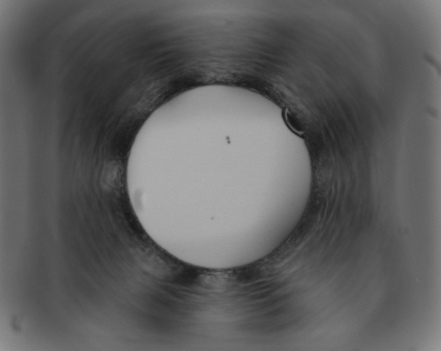 X0000091170079200709060943