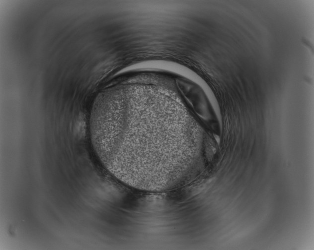 X0000091170080200709060943