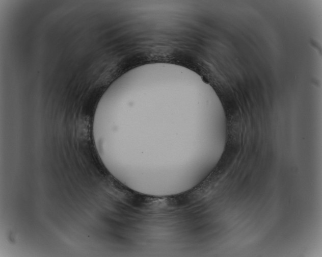 X0000091170083200709060943