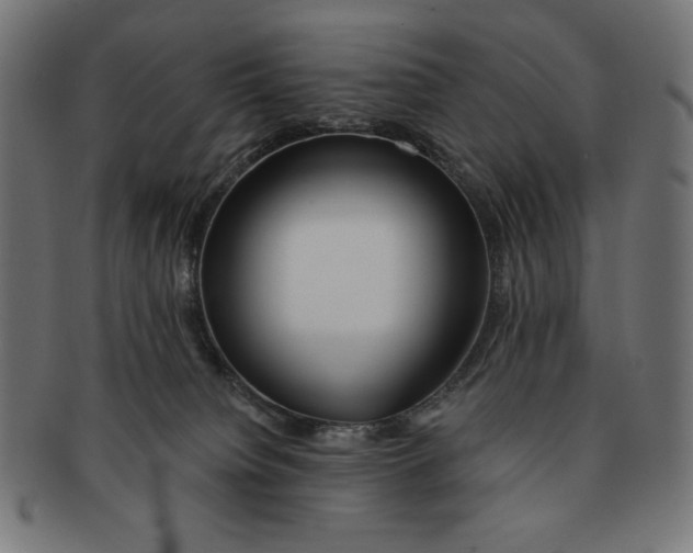 X0000091170084200709060943