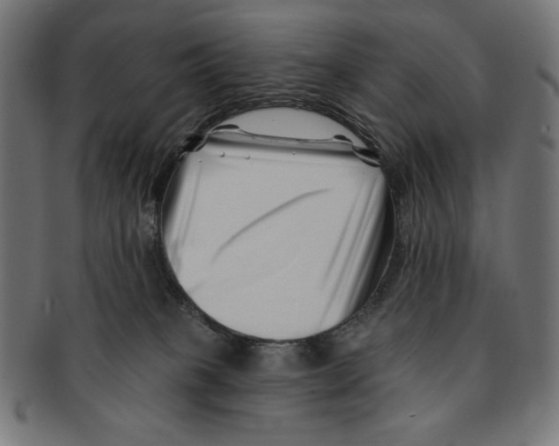 X0000091170085200709060943