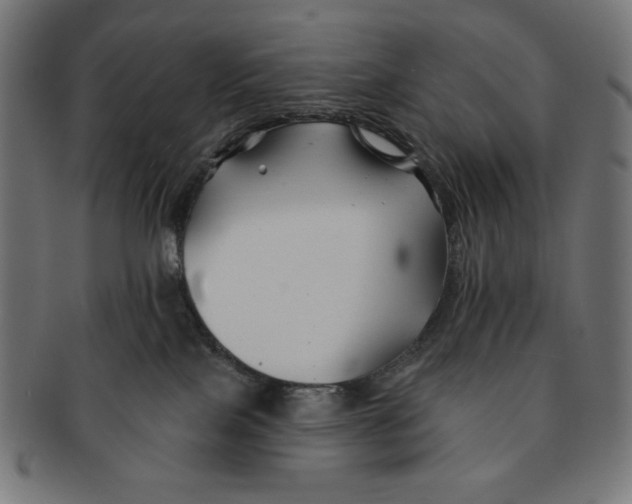 X0000091170089200709060943
