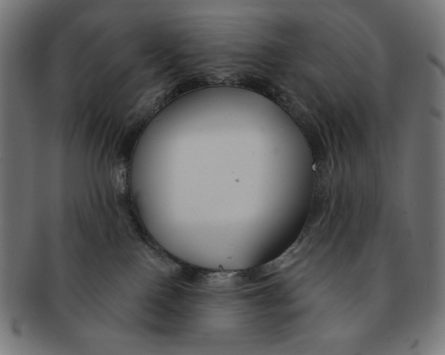 X0000091170090200709060943