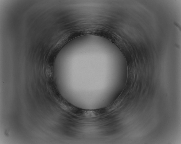 X0000091170091200709060943