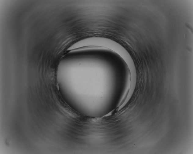 X0000091170092200709060943