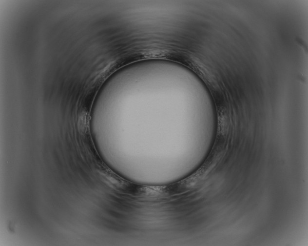 X0000091170093200709060943