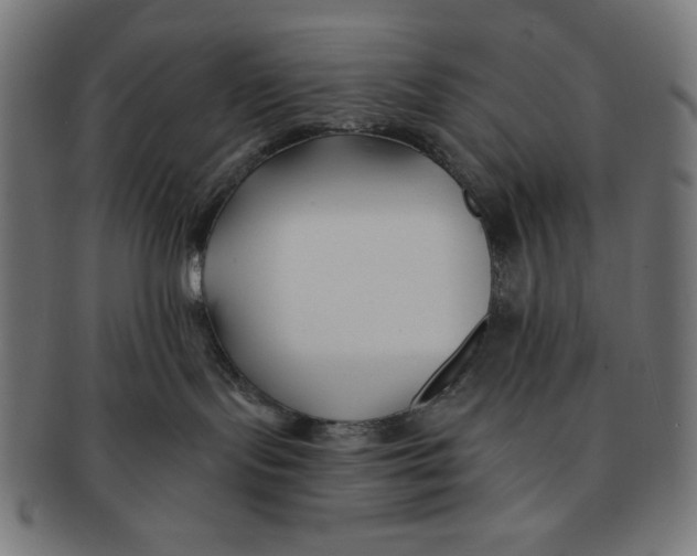 X0000091170095200709060943