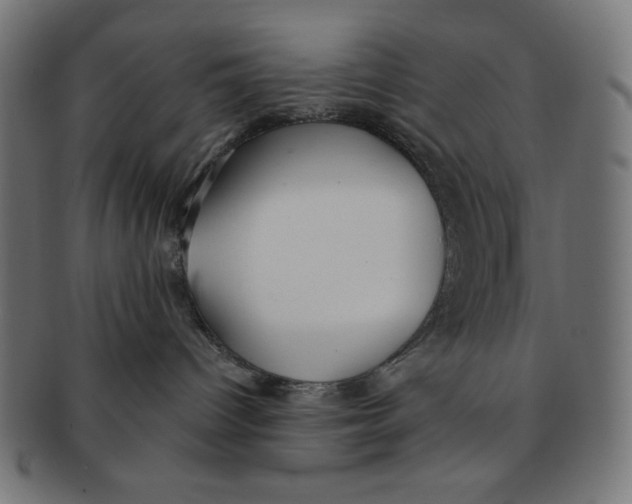 X0000091170096200709060943