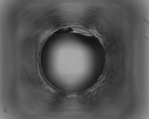 X0000091170097200709060942
