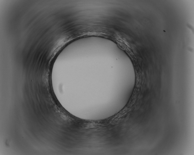 X0000091170098200709060942