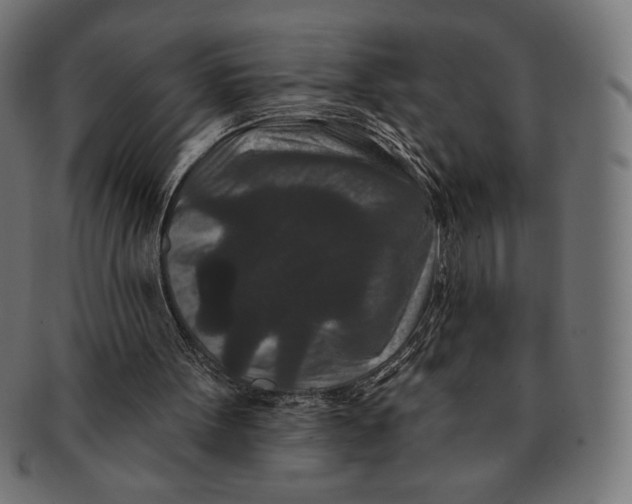 X0000091170099200709060942