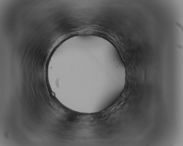 X0000091170100200709060942