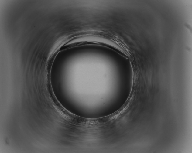 X0000091170101200709060942