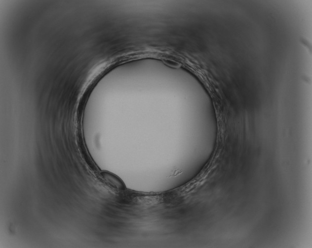 X0000091170102200709060942