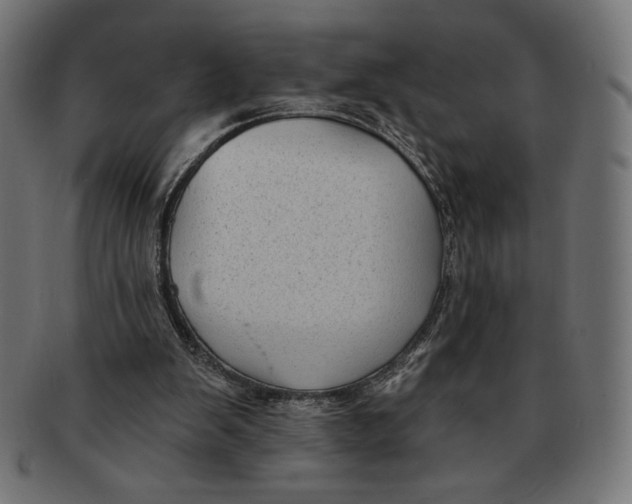 X0000091170103200709060942