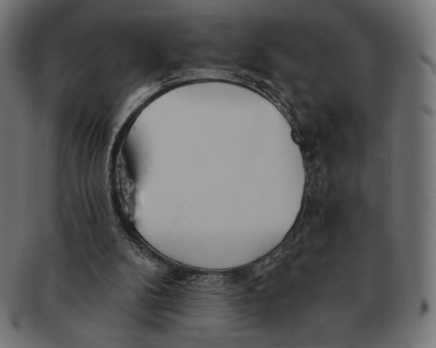 X0000091170104200709060942