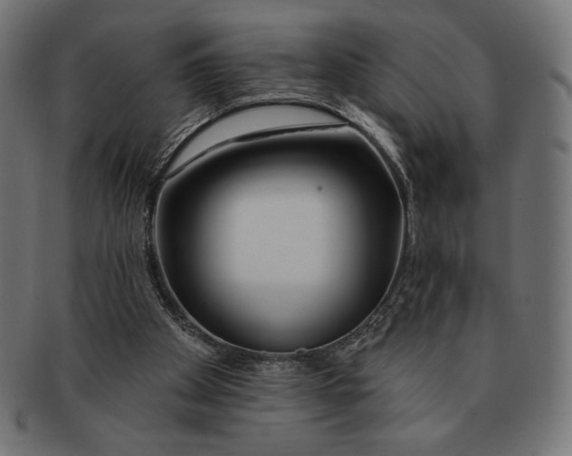 X0000091170105200709060942