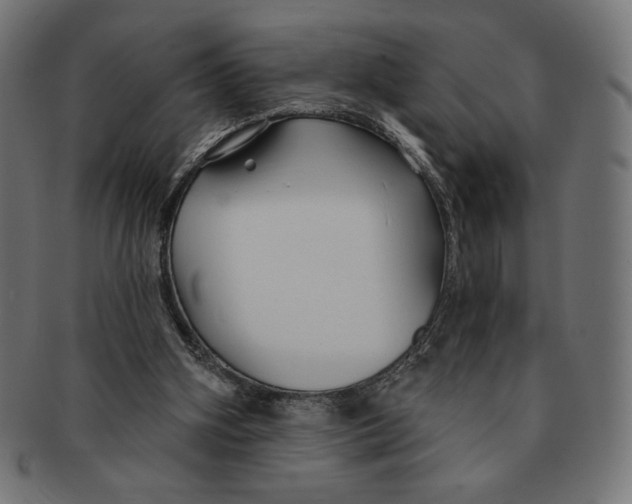 X0000091170106200709060942