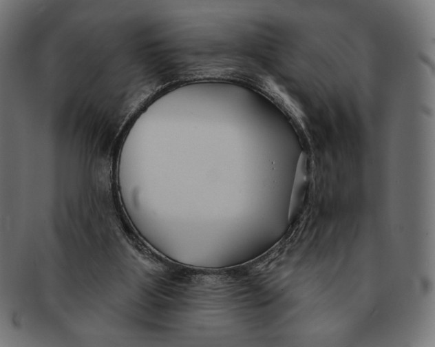 X0000091170107200709060942