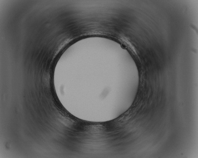 X0000091170108200709060942